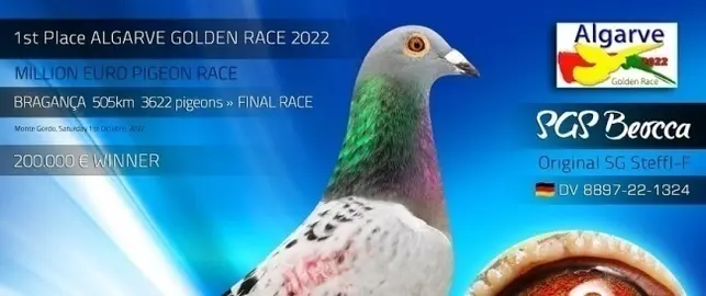 1ST PLACE FINAL RACE BRAGANÇA 2022- SG Steffl GERMANY
